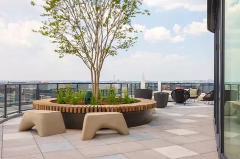 300 Morse St NE, Washington, DC 20002 photo 17