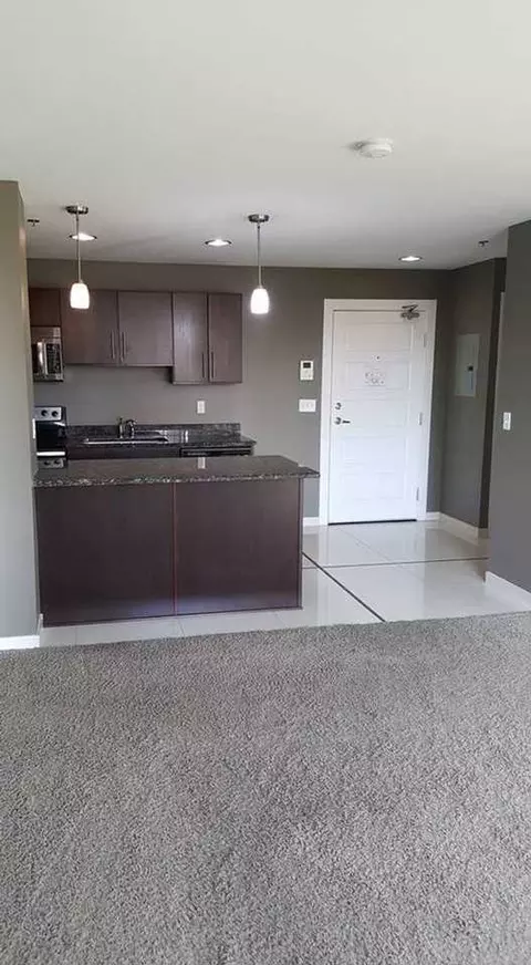 607 E 2nd Ave, Flint, MI 48502 photo 9