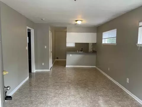 447 E Whitney St, Houston, TX 77022