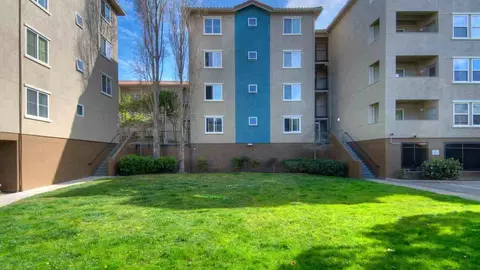 7800 El Camino Real, Colma, CA 94014 photo 12