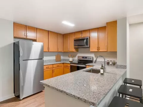 1203 Fidler Ln, Silver Spring, MD 20910 photo 2