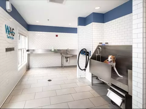1569 Onyx Dr, Tysons Corner, VA 22102 photo 31