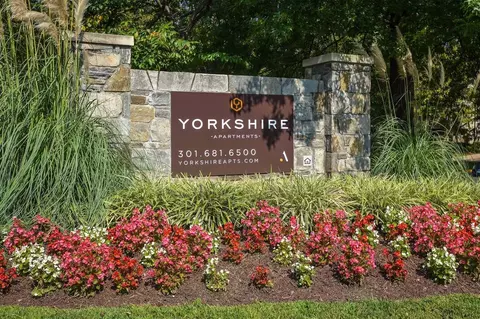 11401 July Dr, White Oak, MD 20904 photo 23