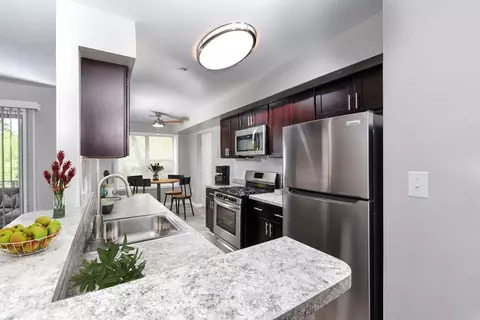 11401 July Dr, White Oak, MD 20904 photo 17