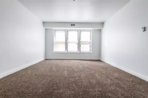 5046 S Champlain Ave, Chicago, IL 60615 photo 24