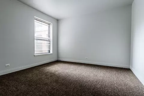 5046 S Champlain Ave, Chicago, IL 60615 photo 8