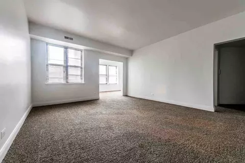 5046 S Champlain Ave, Chicago, IL 60615 photo 22
