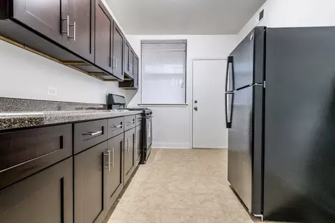 5046 S Champlain Ave, Chicago, IL 60615 photo 19