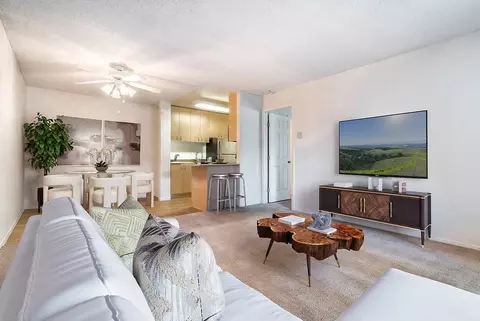 275 Union Ave, Campbell, CA 95008 photo 11