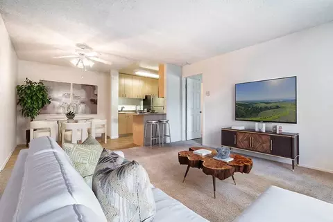 275 Union Ave, Campbell, CA 95008 photo 11