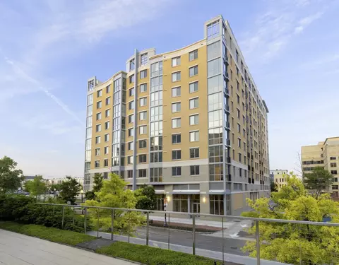 1100 2nd Pl SE, Washington, DC 20003 photo 36