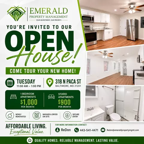 318 N Paca St, Baltimore, MD 21201