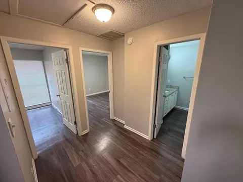 2010 E 148th Ave, Lutz, FL 33549 photo 11