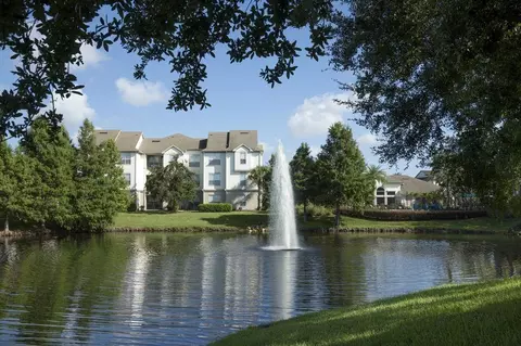 6000 Bent Pine Dr, Orlando, FL 32822 photo 18