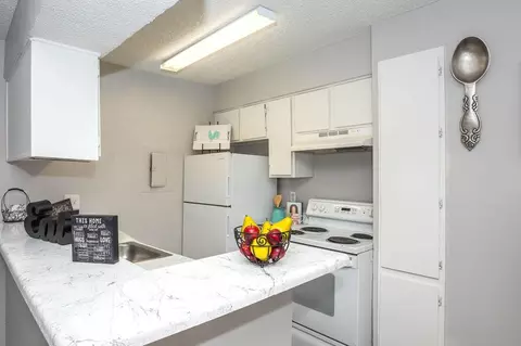3801 Gannon Ln, Dallas, TX 75237 photo 3