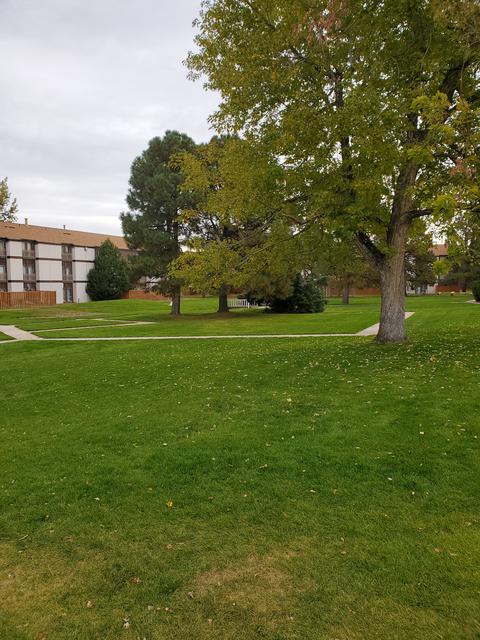 600 S Dayton St, Denver, CO 80247 photo 4