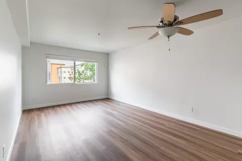 11115 NE 2nd St, Bellevue, WA 98004 photo 48
