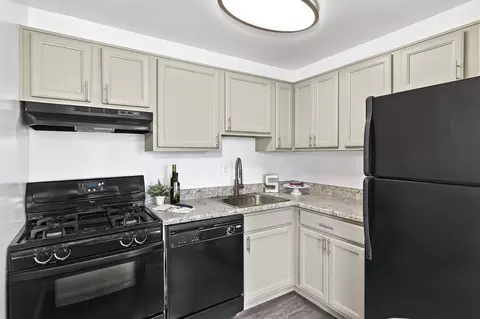 9310 Cherry Hill Rd, College Park, MD 20740 photo 41