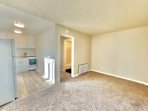1250 W Capri Ave, Ken Caryl, CO 80123 photo 16