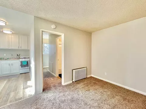 1250 W Capri Ave, Ken Caryl, CO 80123 photo 15