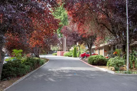 10217 NE 13th Ave, Salmon Creek, WA 98686