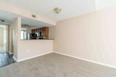 3453 Timber Run Dr, Bloomingdale, FL 33596 photo 21