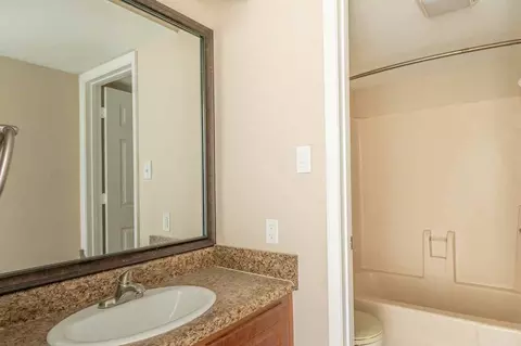 3453 Timber Run Dr, Bloomingdale, FL 33596 photo 32