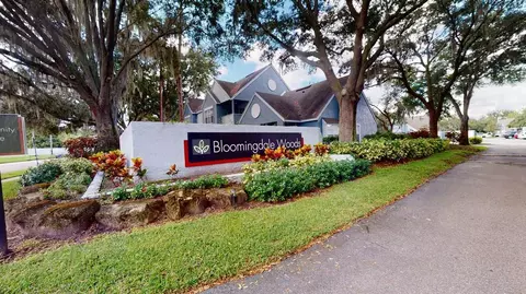 3453 Timber Run Dr, Bloomingdale, FL 33596 photo 79