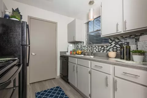 1516 Arbor Town Cir, Arlington, TX 76011 photo 62