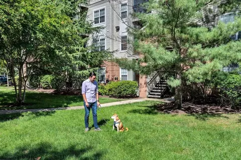 43805 Stoney Brook Sq, Lansdowne, VA 20176 photo 32