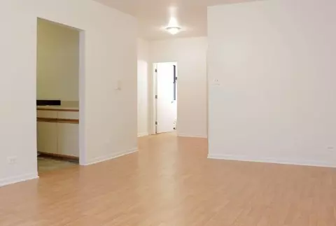 7316 S Jeffery Blvd, Chicago, IL 60617 photo 9