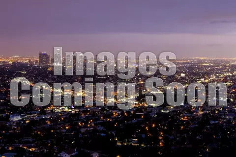 5221 Bellingham Ave, Los Angeles, CA 91607