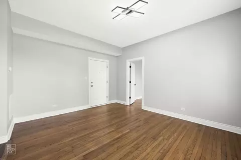 1030 E 47th St, Chicago, IL 60653 photo 37