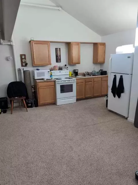 115 N Michigan Ave, Beulah, MI 49617