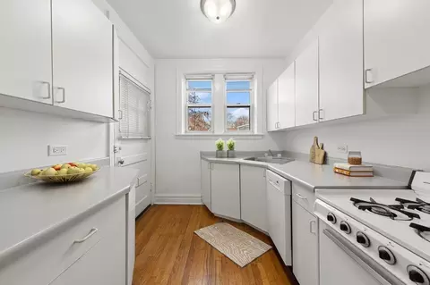 4435 N Greenview Ave, Chicago, IL 60640 photo 7