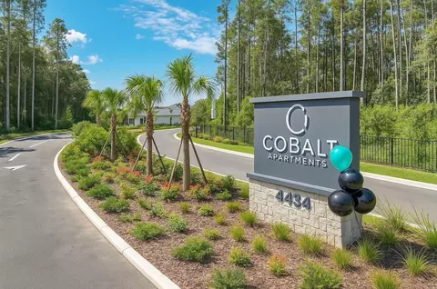 4434 Cobalt Brook Blvd, Lutz, FL 33559 photo 24