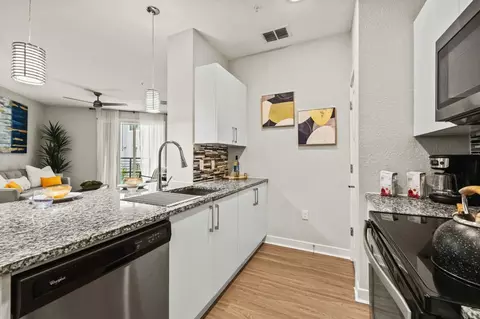 10107 Ancora Cir, Orlando, FL 32821 photo 6