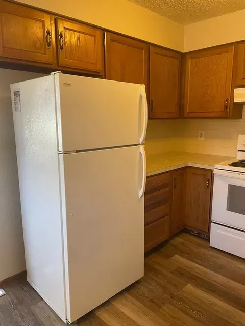 920 Douglas Ave, Loveland, CO 80537 photo 4