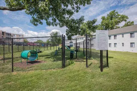 3501 Terrace Dr, Suitland, MD 20746 photo 25