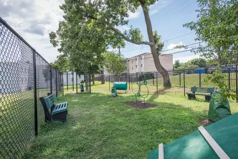 3501 Terrace Dr, Suitland, MD 20746 photo 28