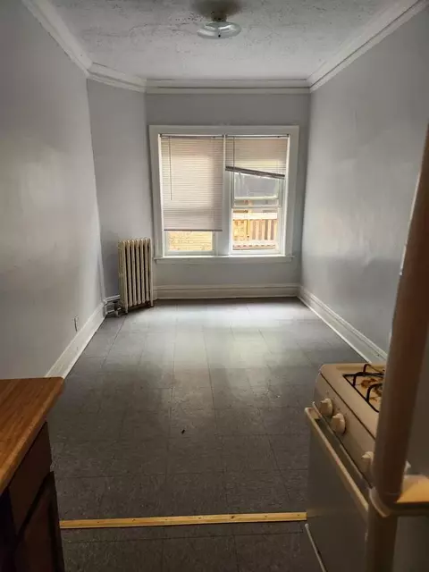 5465 S Everett Ave, Chicago, IL 60615 photo 9