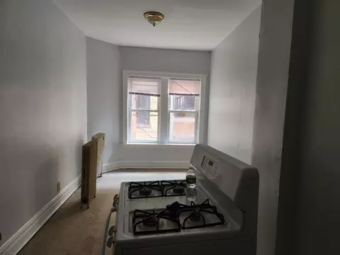5465 S Everett Ave, Chicago, IL 60615 photo 19