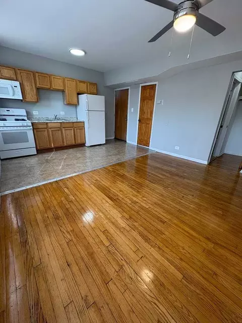102 S Lotus Ave, Chicago, IL 60644