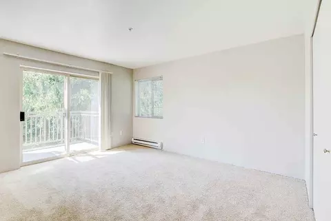 304 118th Ave SE, Bellevue, WA 98005 photo 17