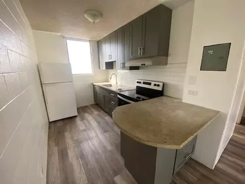 1917 Algaroba St, Honolulu, HI 96826