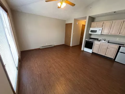 420 S Chauncey Ave, West Lafayette, IN 47906