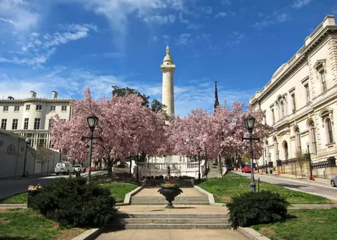 840 Park Ave, Baltimore, MD 21201 photo 17