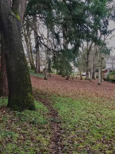3050 W 17th Ave, Eugene, OR 97402 photo 12