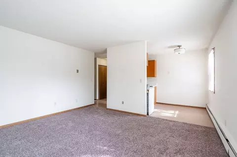 519 10th Ave SE, Minneapolis, MN 55414