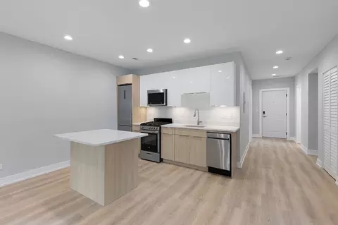 1548-1558 1548-15585 W Juneway, Chicago, IL 60626